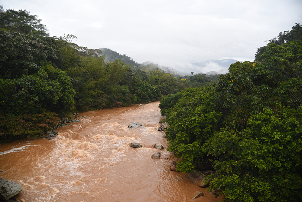  River with a strong stream