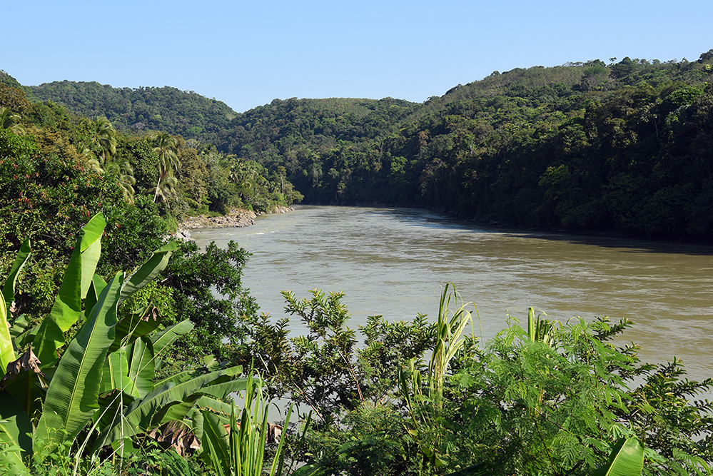 Caucasia river